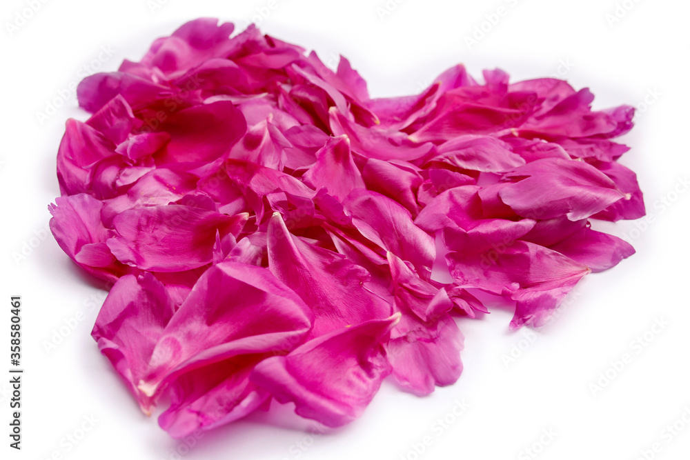 pink heart made from peony petals on white background pink heart made from peony petals on white background