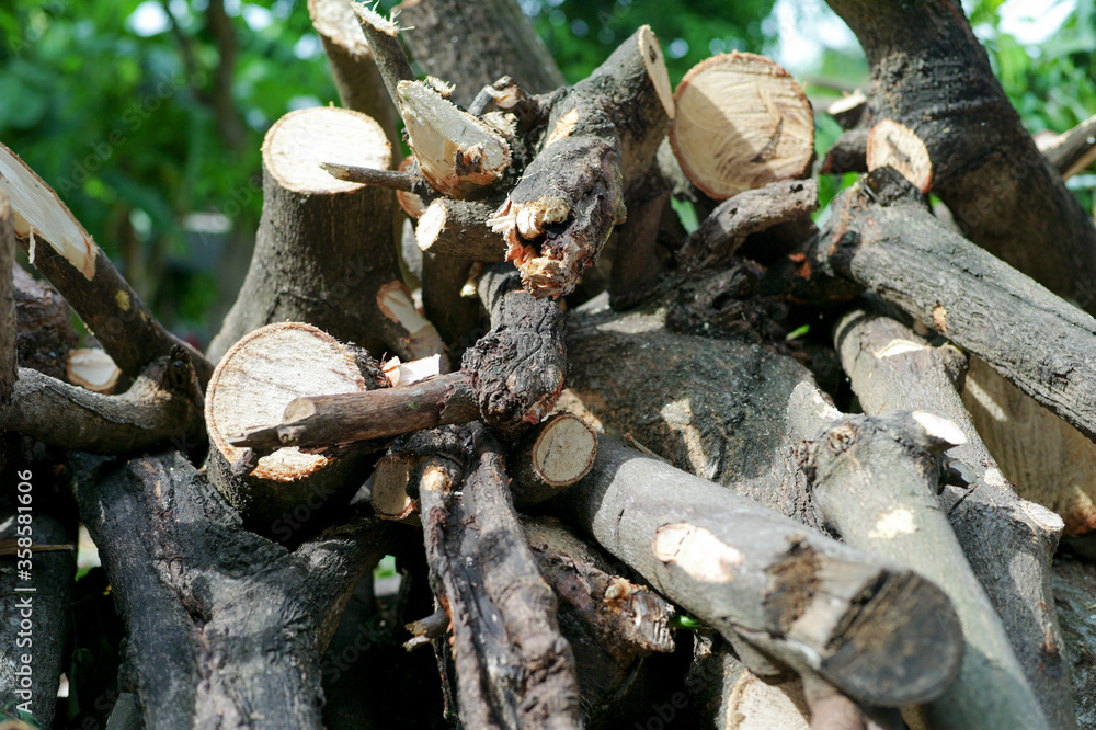 Abstract background and texture of wooden pile after deforest. Firewood for burning in winter Abstract background and texture of wooden pile after deforest. Firewood for burning in winter