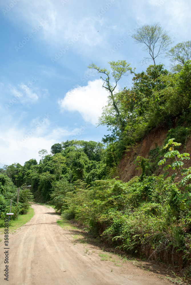 Roatan Island Rural Area Village Road