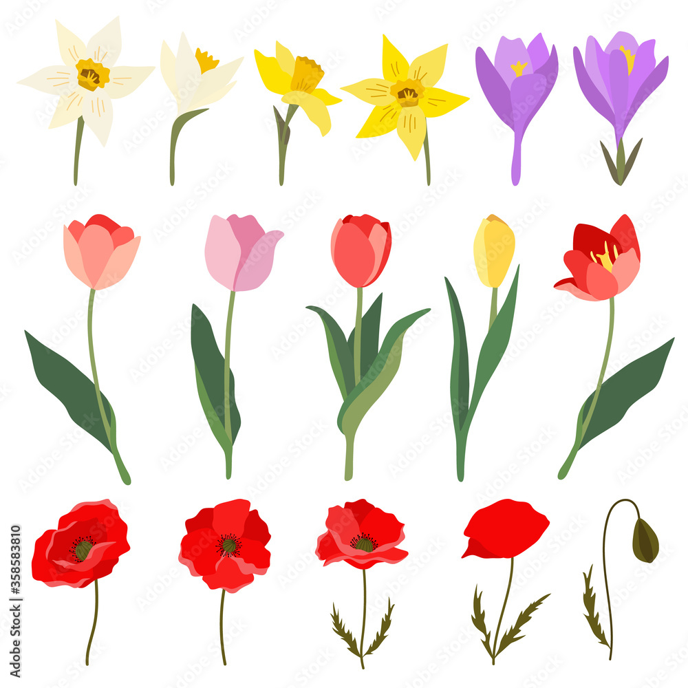 Set of 16 spring and summer flowers - tulip, poppy, crocus, narcissus. Collection of red, yellow, white and lilac flowers. Flat vector illustration isolated on white background. Colorful clip art.