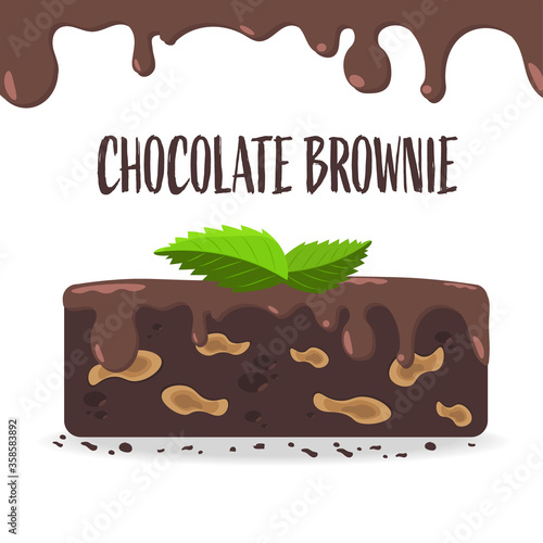 Chocolate brownies with almond crumble, flat design of brownie sweet with sauce and mint leaf
