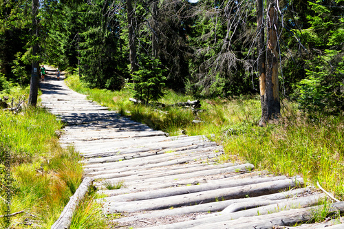 Mountain trail photo