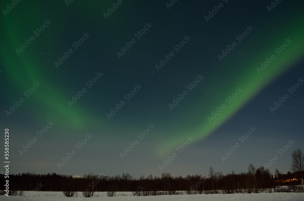 aurora borealis, northern light over snowy winter field
