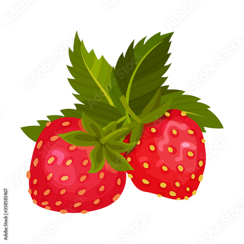 Mature Red Strawberry with Leaves for Fresh Eating Vector Illustration