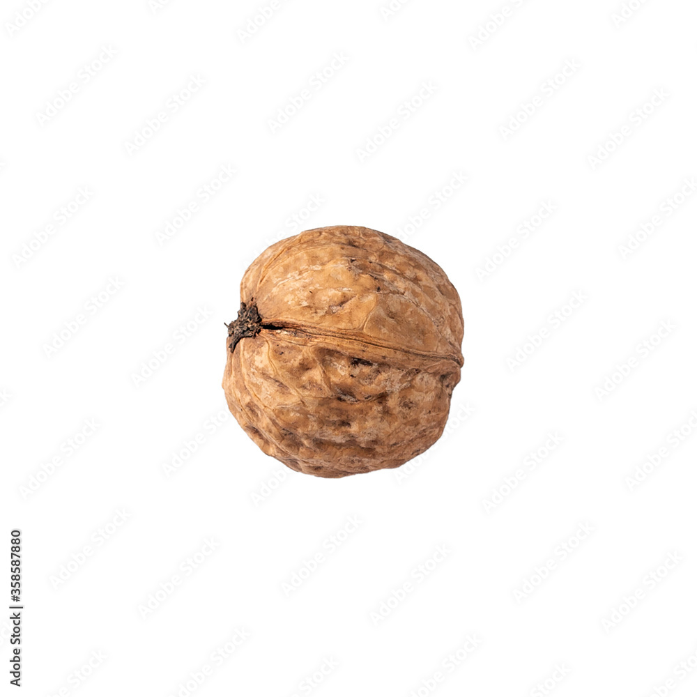 closeup Walnuts isolated on white background. Side view. closeup Walnuts isolated on white background. Side view.