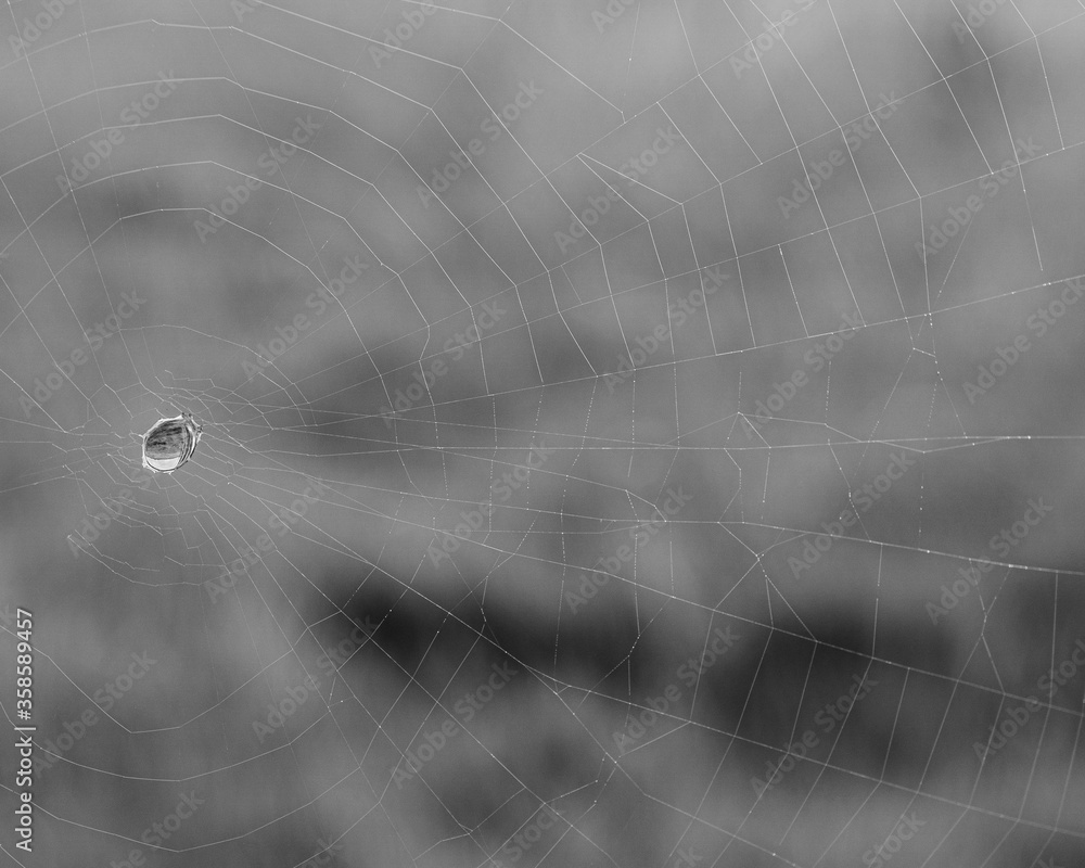 Φωτογραφία A spiders web with one single drop of water right in the centre of the cobweb