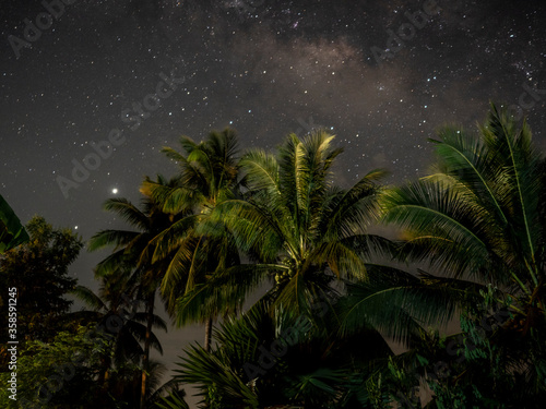 Night shot with palm trees and milky way in background.