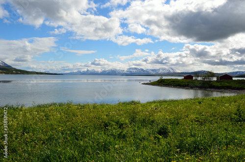 Wallpaper Mural snowy mountain and blue fjord and sky in summer Torontodigital.ca