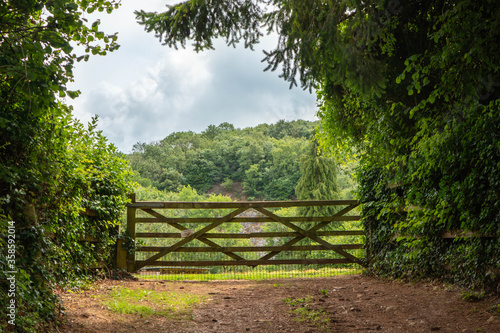 Fotótapéta A wooden gate into a field with cheddar gorge walks in the background