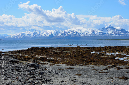 snowy mountain, blue fjord and sky in summer
