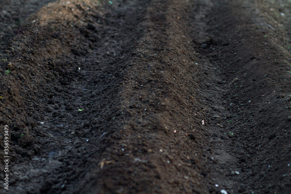 Gardener prepare soil for planting vegetable or fruit at organic farm Gardener prepare soil for planting vegetable or fruit at organic farm