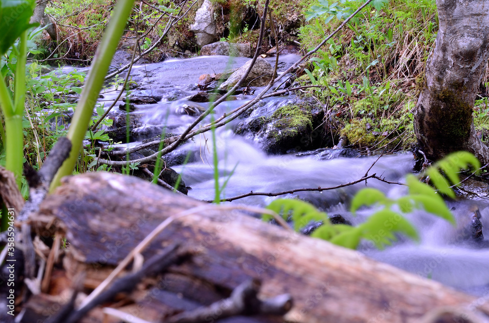 mountain creek in summer lush green nature mountain creek in summer lush green nature