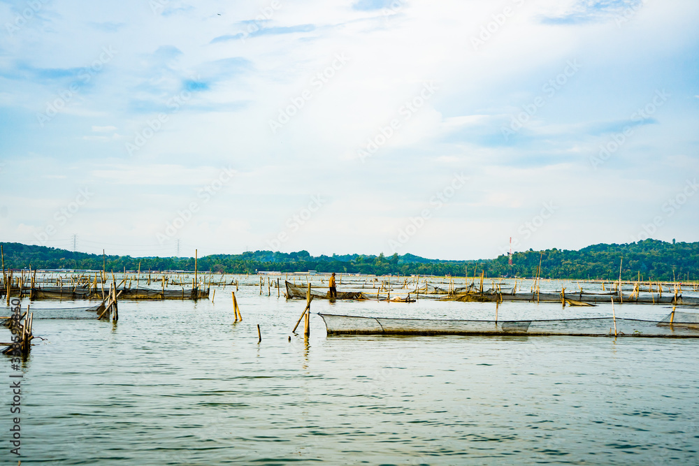 Fisherman on the bamboo rafts feeding the fish in the floating fish cage at the Jimbung lake, Klaten, Central Java. Panoramic view with the line of green trees and whitey blue sky as background.
