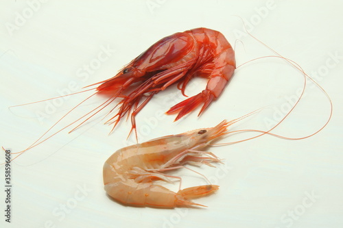 Принти на полотні Gambas roja y blanca, Aristeus antennatus