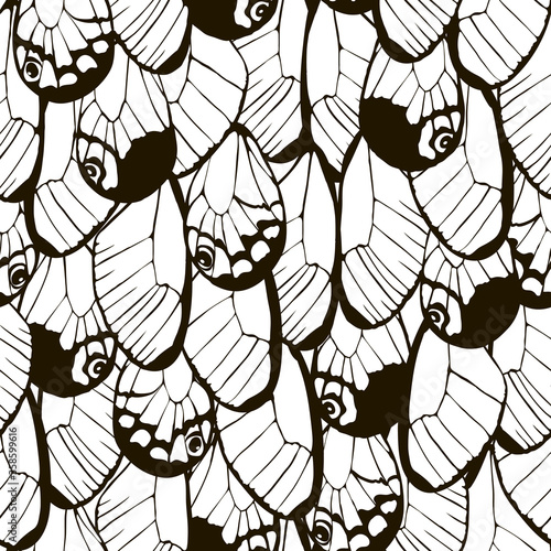 Butterfly nymph wing abstract seamless pattern.