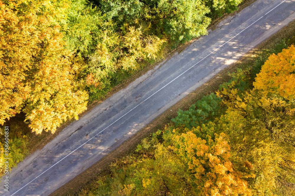 Aerial view of empty road between yellow fall trees.