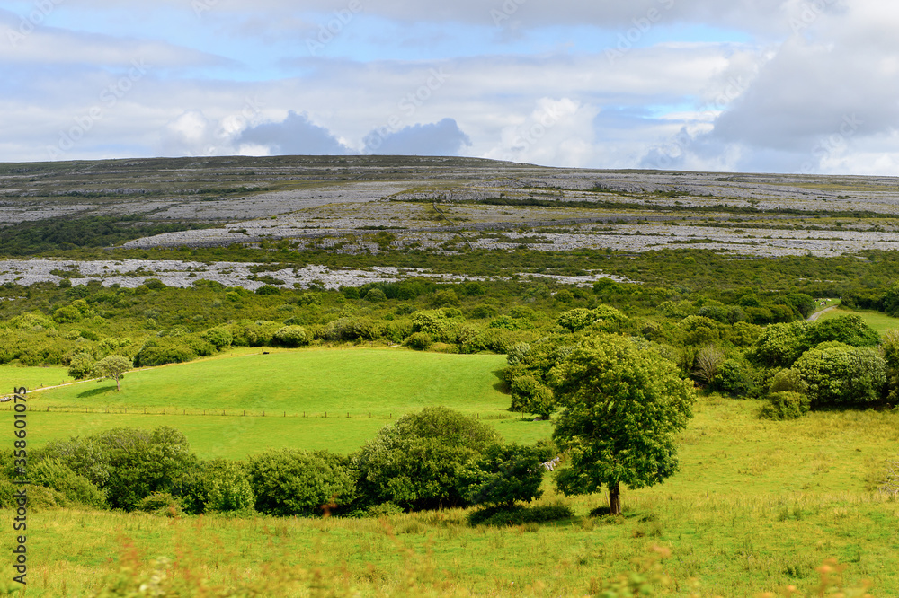 Fototapeta premium Amazing nature of Ireland.