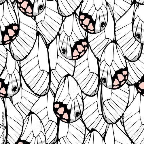 Butterfly nymph wing abstract seamless pattern.