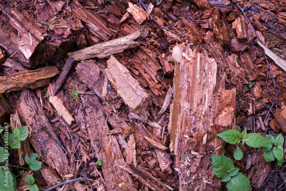 red-brown wood sawdust on the ground red-brown wood sawdust on the ground