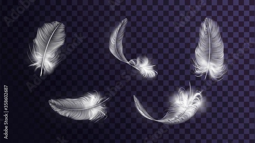 Set of different vector white feathers on a transparent background