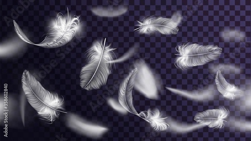 Flying white feathers of a bird or angel, lightness and tenderness elements