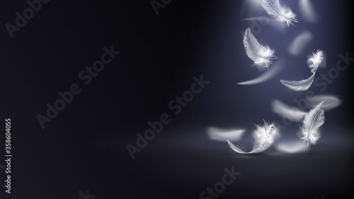 White feathers of a bird or angel fall from above in the dark, lightness and tenderness