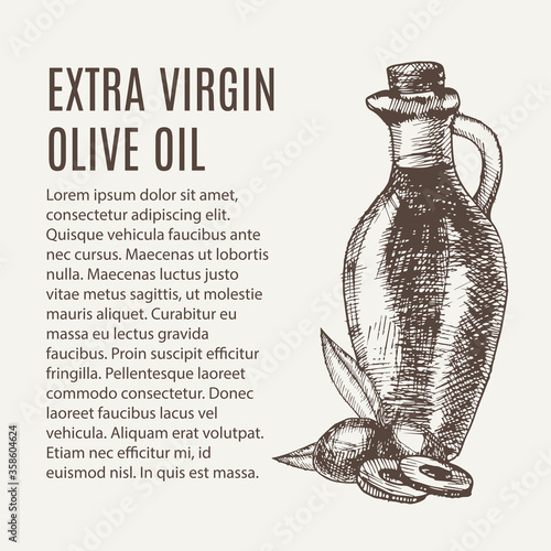 Hand drawn pencil bottle of extra virgin olive oil. Still life of olive oil in a glass jar and sprigs of fresh olives. Vector illustration. EPS 10.