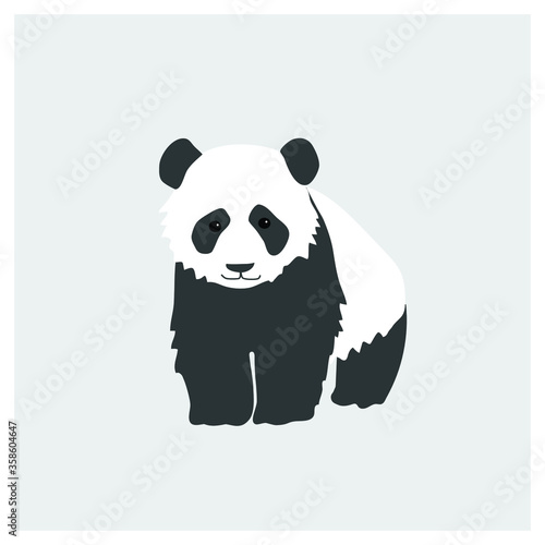 Fluffy beautiful panda stands on its paws