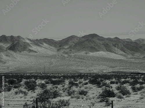 Arizona Desert