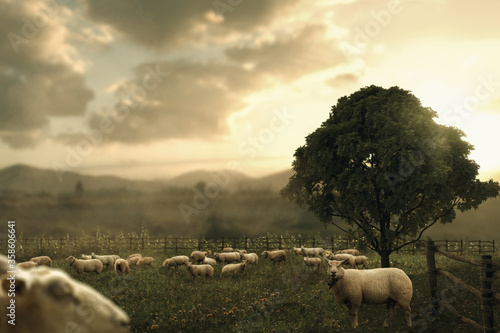 Schaf Herde grast in einer friedlichen Sommerweide