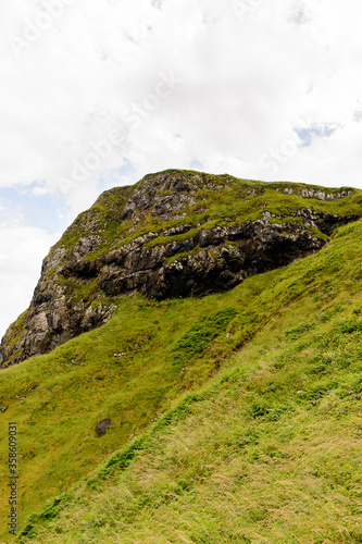 Nature of Carrick-a-Rede, Causeway Coast Route, National Trust. Northern Ireland