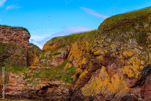 North Sea coast