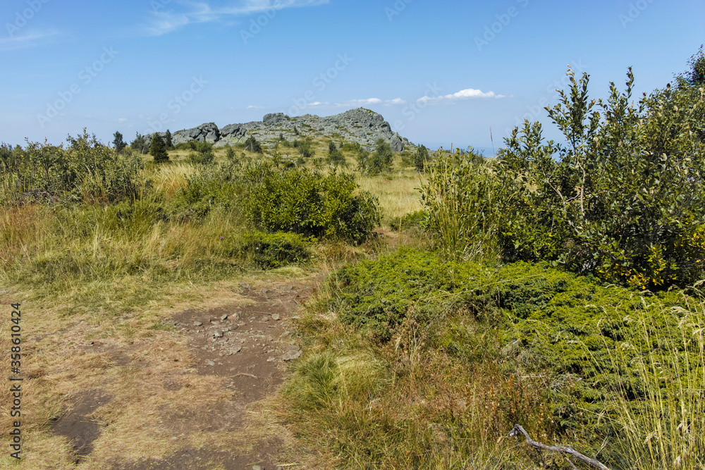 Autumn view of Vitosha Mountain, Sofia City Region, Bulgaria Autumn view of Vitosha Mountain, Sofia City Region, Bulgaria