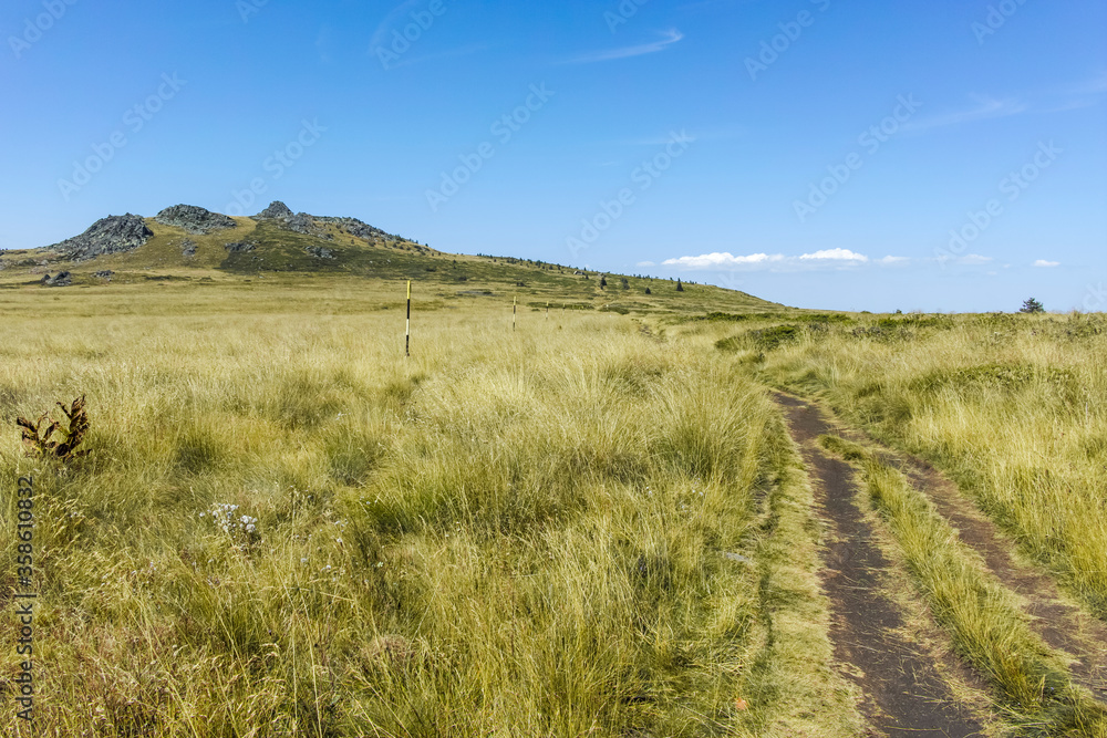 Autumn view of Vitosha Mountain, Sofia City Region, Bulgaria