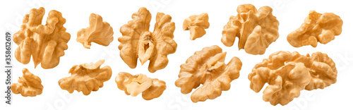 Shelled walnut set isolated on white background photo