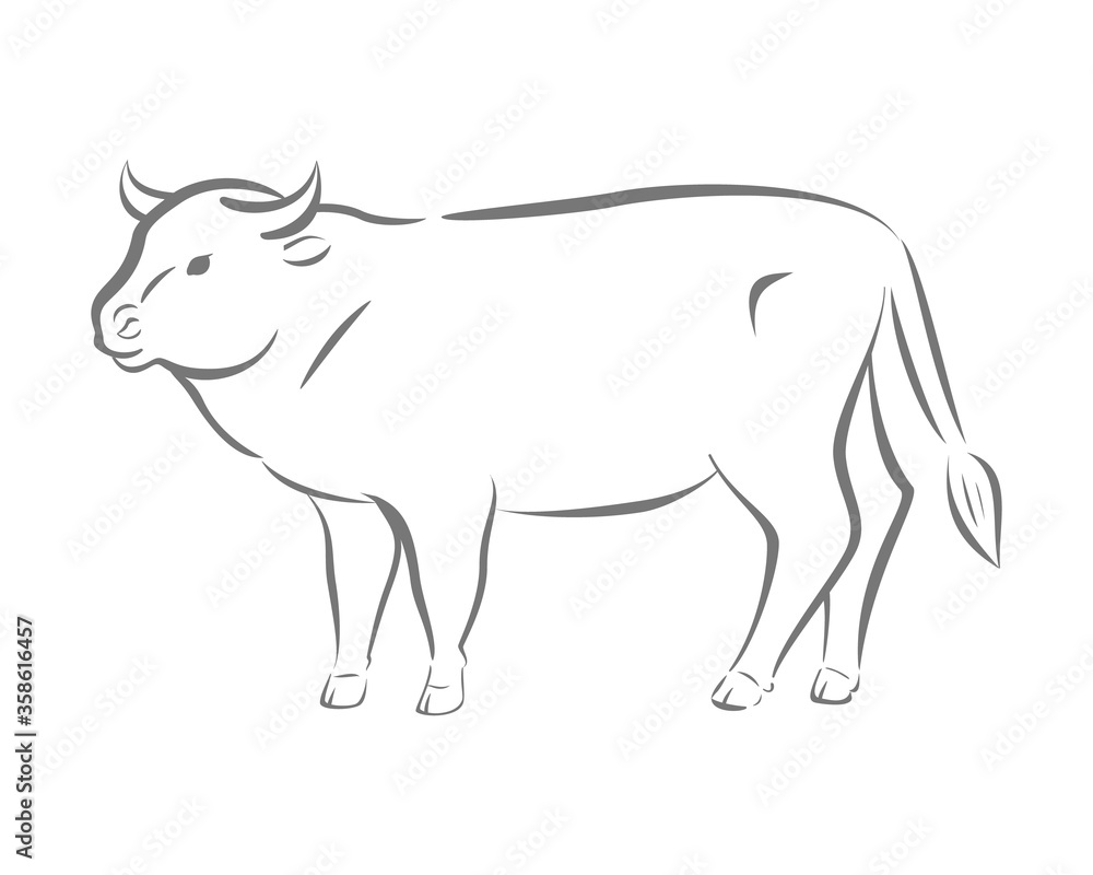 Bull logo. Premium vector.