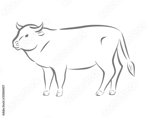 Bull logo. Premium vector. © elialady