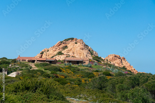 Pink Granite hill in Costa Paradiso with wild mediterranean flora. Sassari, Sardinia, Italy