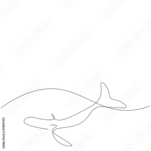 Fototapeta Naklejka Na Ścianę i Meble -  Whale one line drawing, vector illustration 