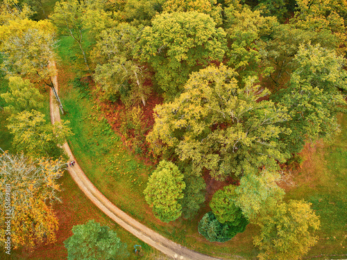 Aerial view of autumn forest in northern France