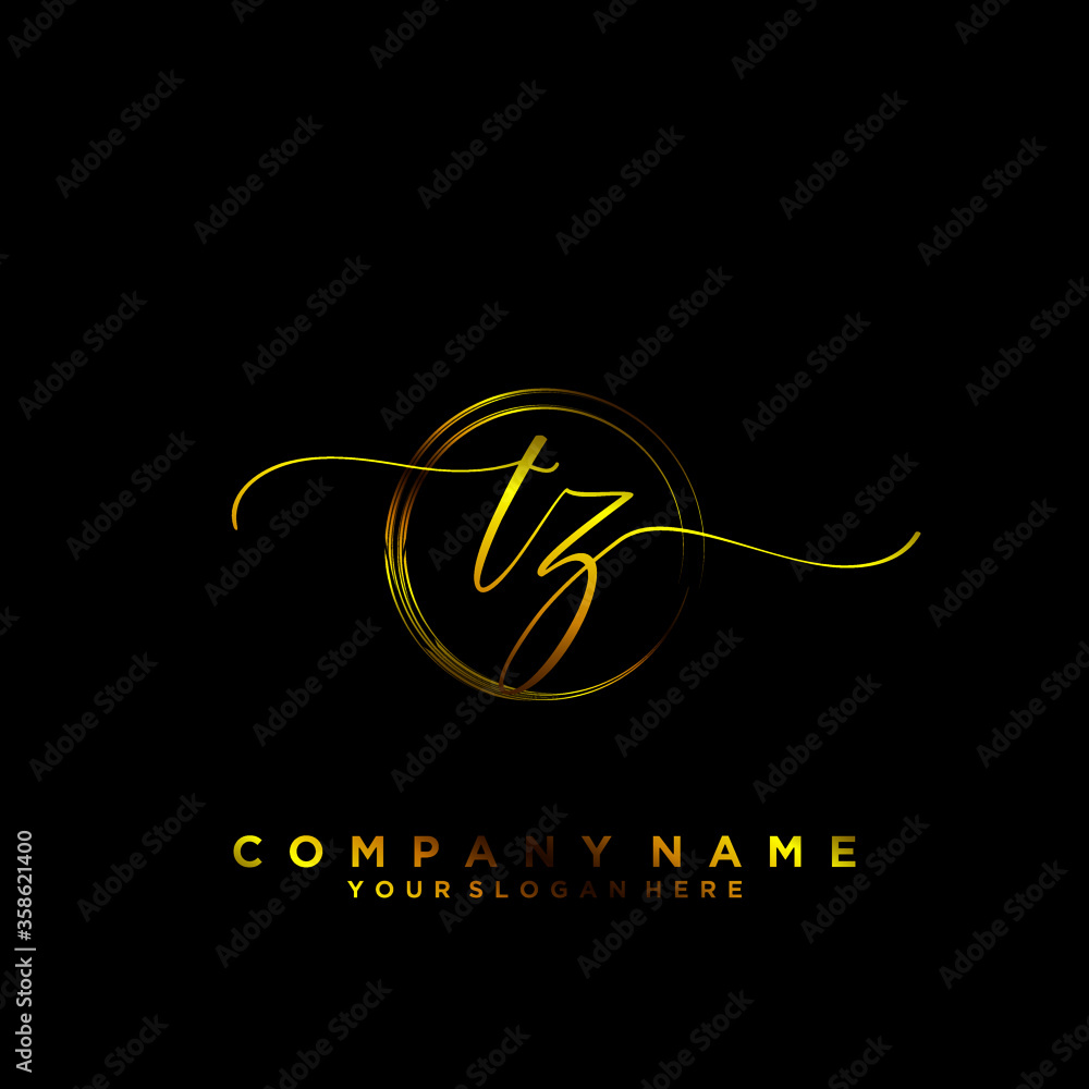 TZ Initial handwriting logo vector TZ Initial handwriting logo vector