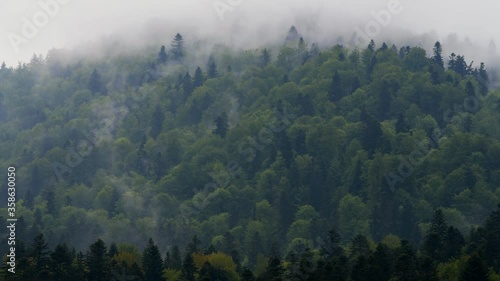 Outstanding panoramic view of Carpathian forest and mountains Bieszczady Poland.