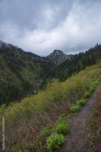 Hiking trail in Montana mountains