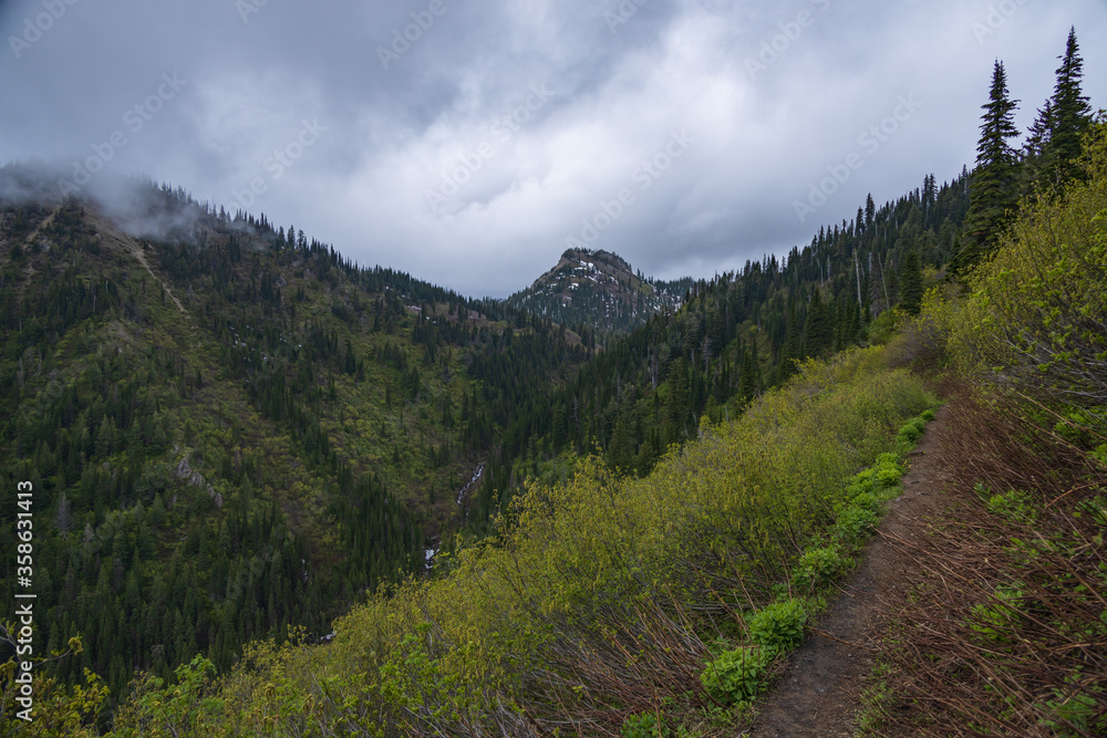 Hiking trail in the Montana mountains