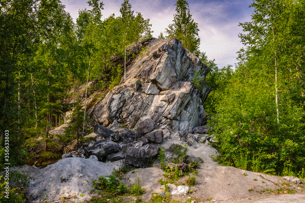 It's Russian forest close view of the trees It's Russian forest close view of the trees