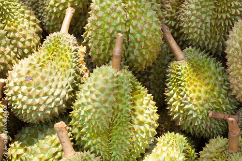 Kambodscha, Kep, Krabbenmarkt, Durian auf dem Krabbenmarkt © ONEWORLD PIC