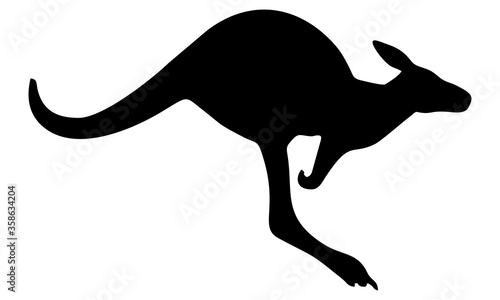 kangaroo vector silhouette © werikz