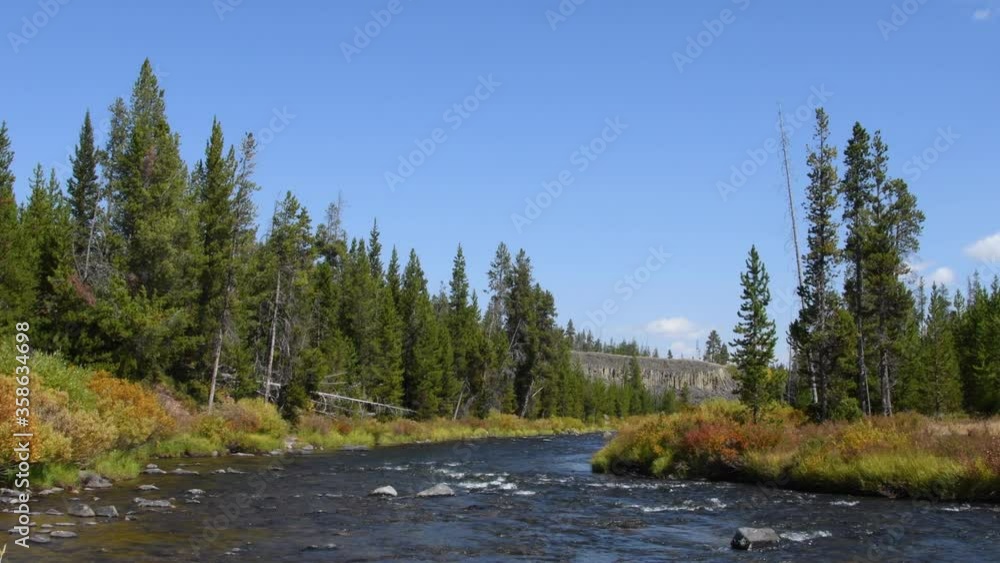 The Gardner River at Sheepeater Cliff, Yellowstone national Park
