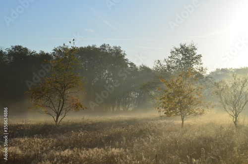 Sonnenaufgang Nebel Tau Heide