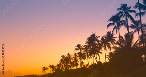 Beautiful colorful tropical sunset and palm trees 